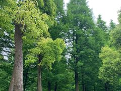 -贵阳市花溪国家城市湿地公园