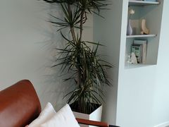 -壹点灵·心理咨询中心(中山公园店)