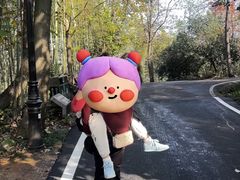 -潜山国家森林公园