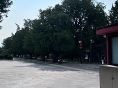 -北京市劳动人民文化宫(太庙)