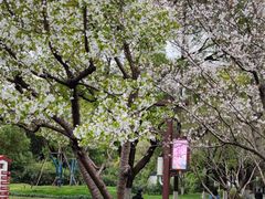 -堤角公园