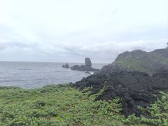 -涉地可支