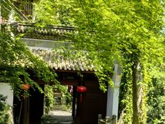 -韬光茶庵