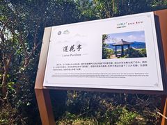 -大姆山草场