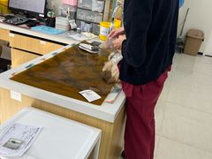 -美联众合动物医院·24h京西诊疗中心