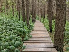 -白草畔自然风景区