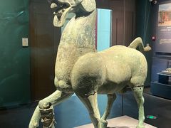 -广西壮族自治区博物馆