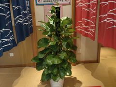 -汤泉良子.足疗按摩.SPA(中关村店)