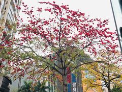 -燕子岗体育场