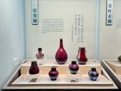 -广西壮族自治区博物馆