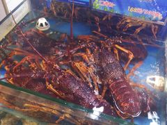 -海鲨湾海鲜会馆(百家湖1912店)