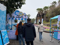 -南宁市凤岭儿童公园