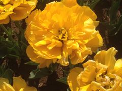 -长春公园(普阳街道)