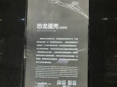 -中国西峡恐龙遗迹园