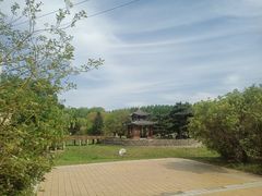 -黑龙江省森林植物园