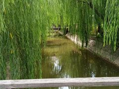 -东平国家森林公园