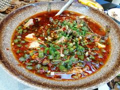 -院8里·少城记忆老川菜(宽窄巷子店)