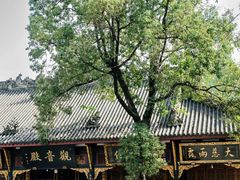 -古大圣慈寺