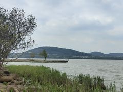 -长广溪湿地公园