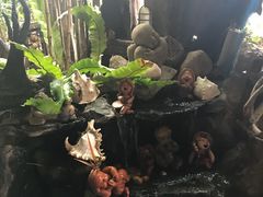 -自然餐厅(Phuket)