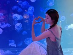-南昌融创海世界