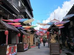 -莲花山花海