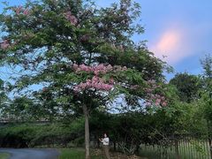 -中国科学院西双版纳热带植物园