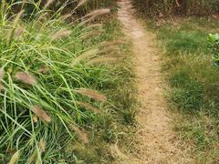 -商丘市人民公园