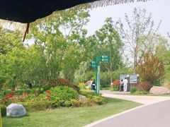 -昆山城市生态森林公园