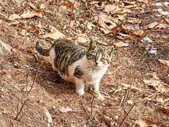 -崂山巨峰游览区