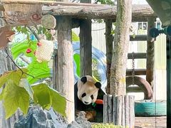 -大连森林动物园