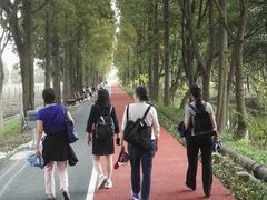 -上海长兴岛郊野公园