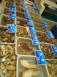 -双井轩·宴会厅