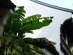 -上海醉白池公园
