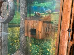 -上海大自然野生昆虫馆