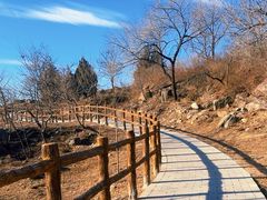 -白水寺森林公园