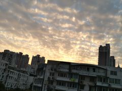 -世纪同乐绿地世纪城二期