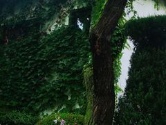-熙古里艺术村
