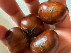 -栗满秋(燕丰西坝河店)