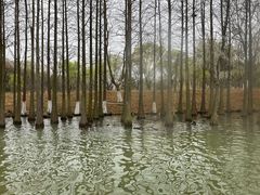 -苏州太湖国家湿地公园