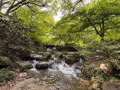 -中国茶叶博物馆(双峰馆区)