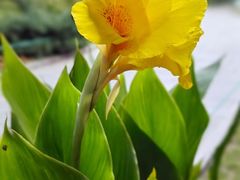 -中山公园音乐堂