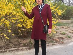 -朝阳公园游乐园