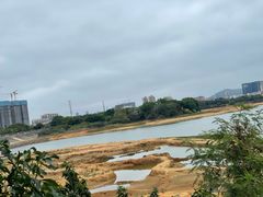 -立新湖公园