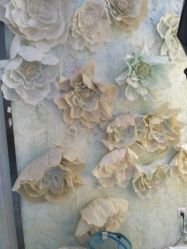 -星豆豆儿童摄影(南郊太白南路店)