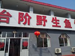 门面-金台阶鱼馆(于桥水库店)