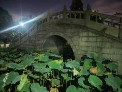 -河泥荡文化公园