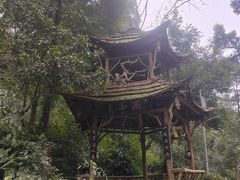 -青城山