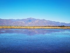 -野鸭湖国家湿地公园