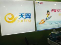 -中国电信(肇嘉浜路专营店)